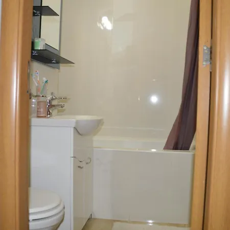 Iza Apartment Craiova